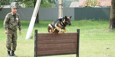 Кого нюх не подвел