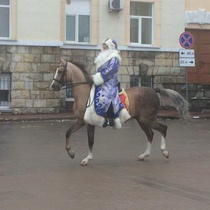 Парад Дедов Морозов в Брянске