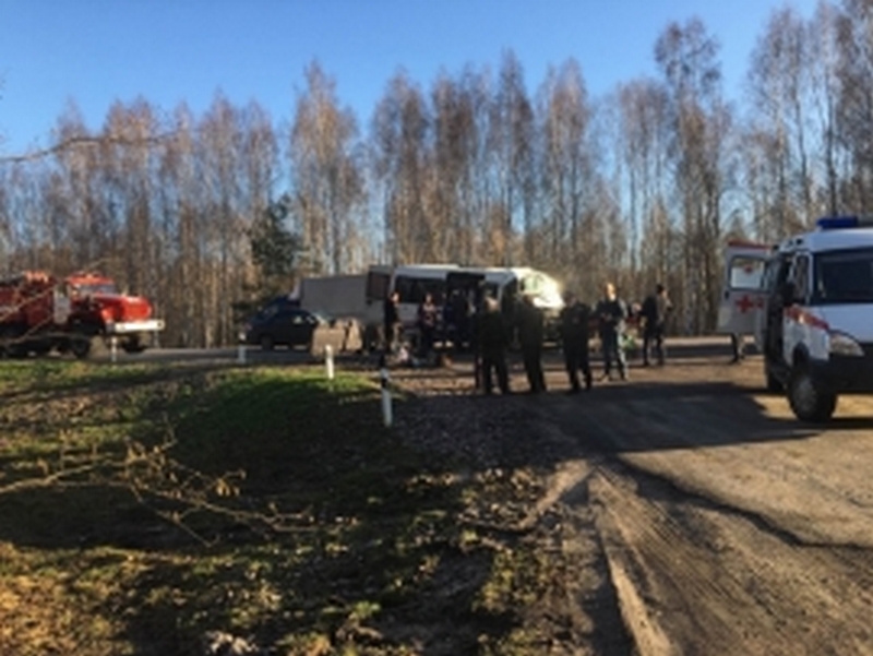 В Брянской области в массовом ДТП пострадали девять человек В Брянской области в массовом ДТП пострадали девять человек