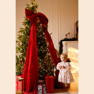 Маленькая принцесса