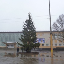 Дождливая елка в Бежице