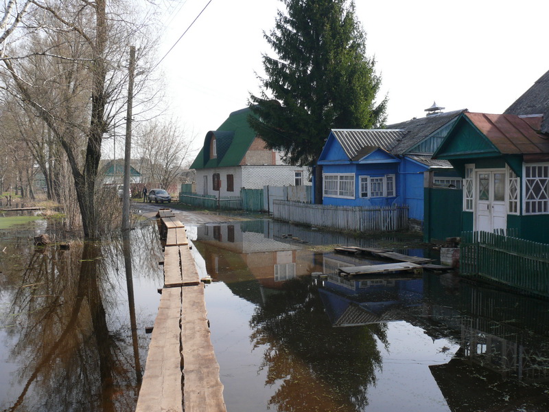 В Брянске под воду могут уйти почти 800 домов