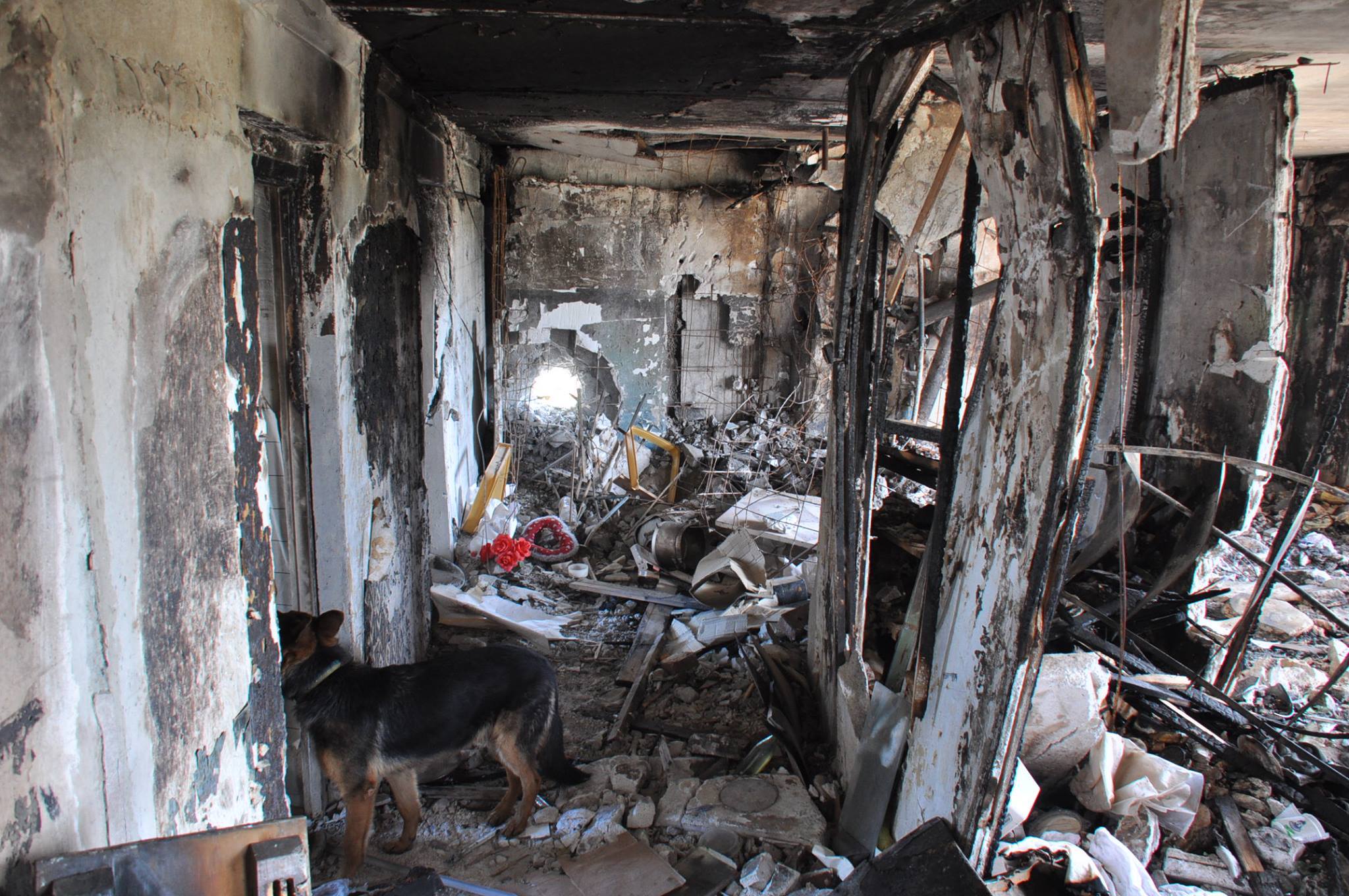 ЧП в Брянской области — пожар унес жизни четырех человек