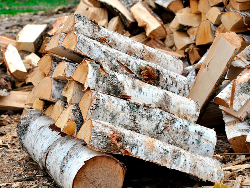 Преимущества дров березовых и их особенности