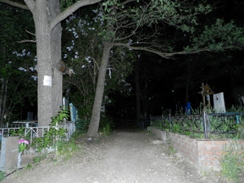 Под Выгоничами обнаружили кладбища-призраки