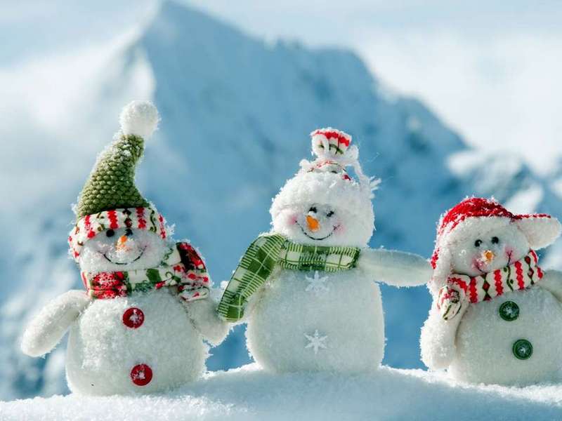 Брянцев пригласили на фестиваль снеговиков