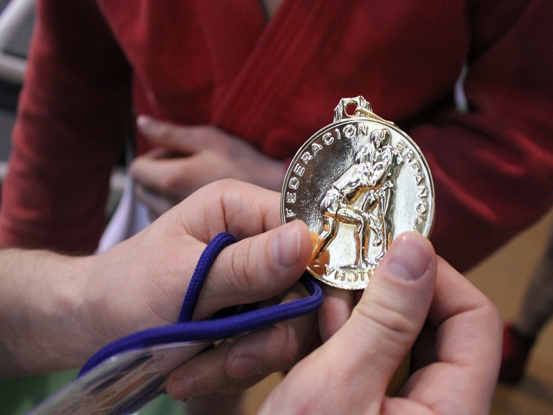 Брянские самбисты привезли три медали из Кстово