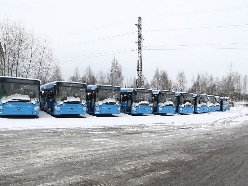 Брянские автобусы стали чаще попадать в ДТП