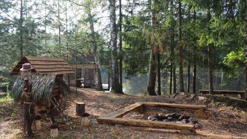 В Брянских лесах открыли еще одно место для отдыха