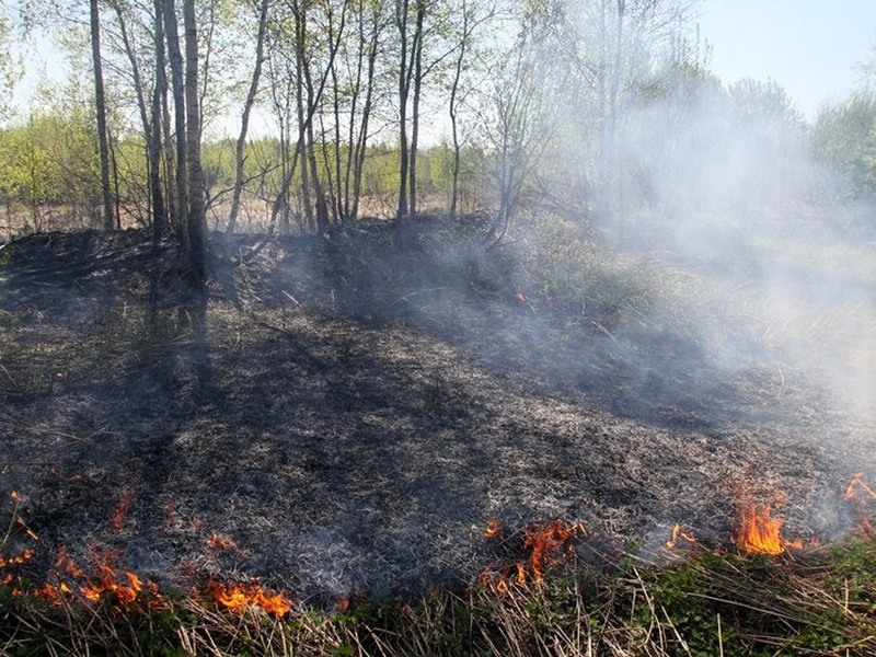 В Дятьковском районе случился торфяной пожар