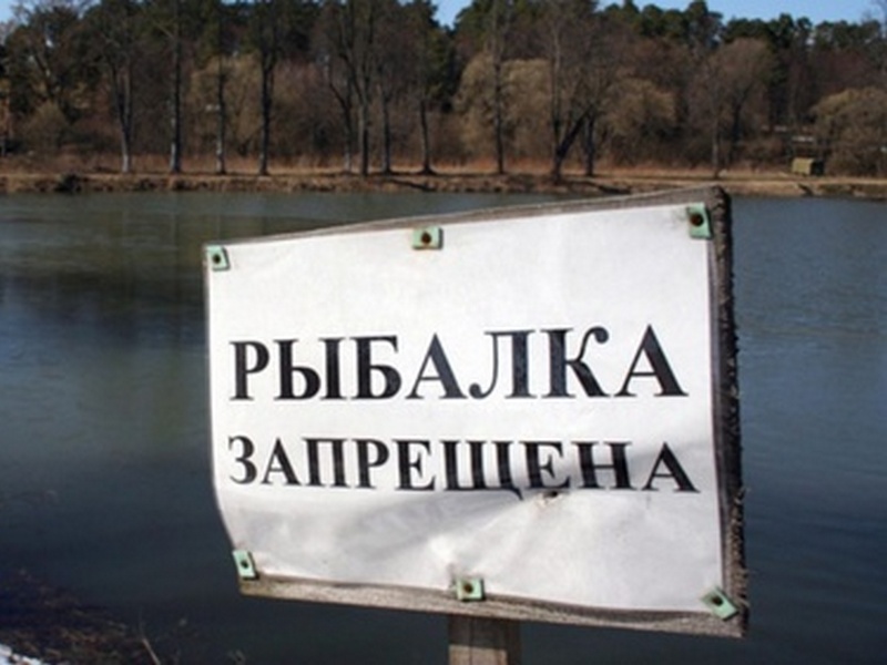 В Брянской области ограничили рыбалку