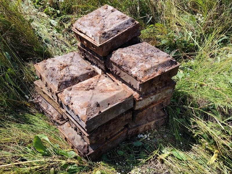 В брянском лесу нашли противотанковые мины