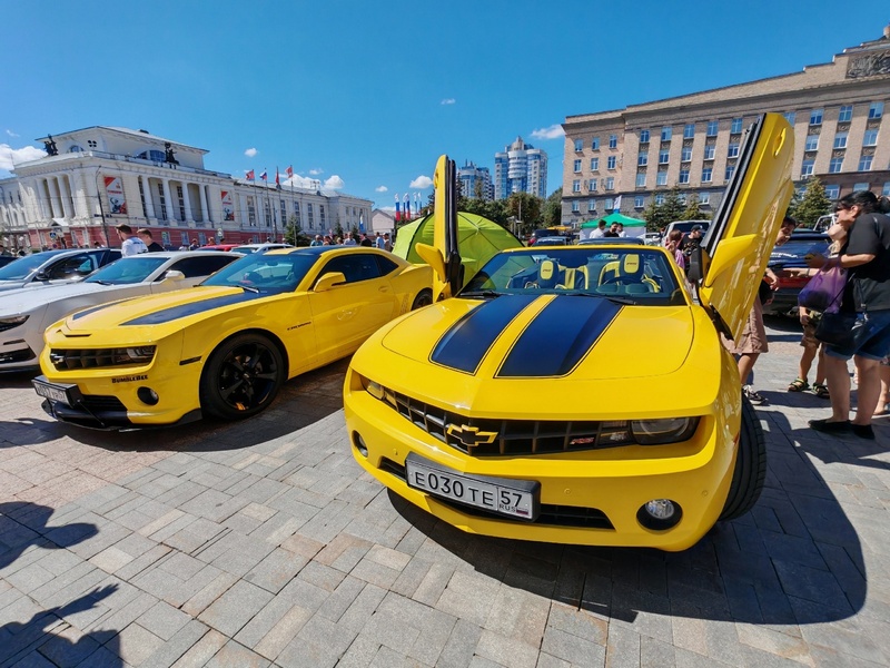 «Динамика»: от ретро до новинок