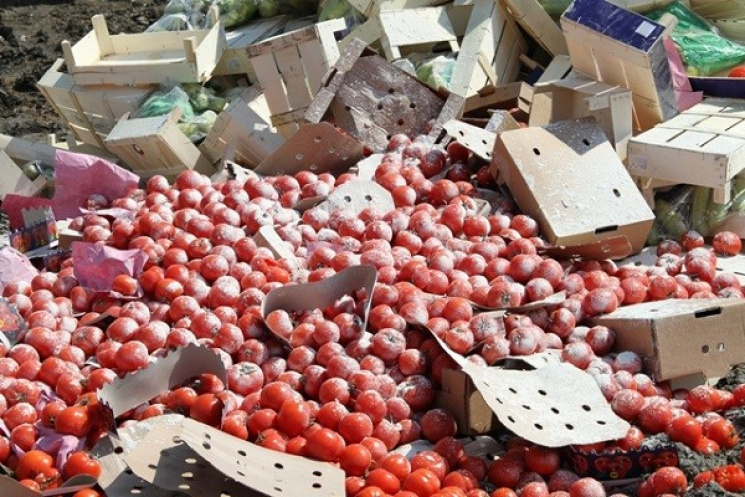 В Брянской области уничтожили 7,5 тонн томатов и перца из Белоруссии