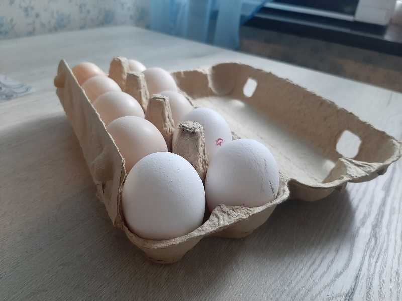 Сколько стоят яйца в Брянске
