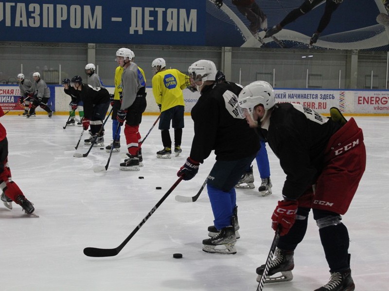 Брянские хоккеисты показали свою подготовку