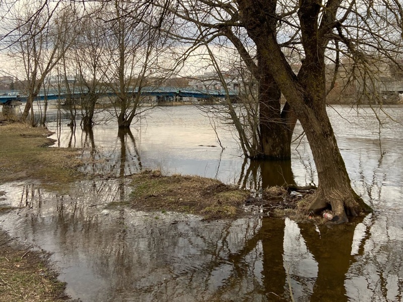 В Брянске оценят ущерб от паводка