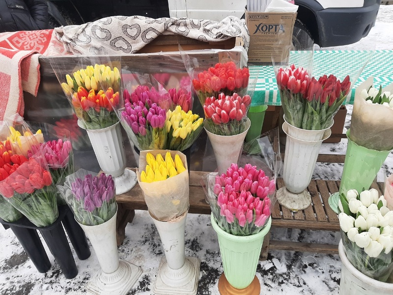 Цветочные базары: сколько стоят тюльпаны в Брянске?