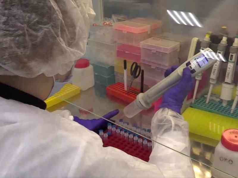 За сутки подтверждено 34 новых случая коронавируса