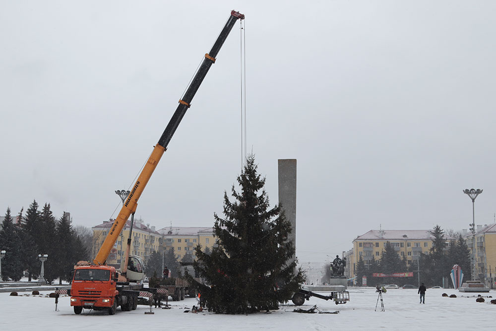 В Брянске установили елку на площади Партизан