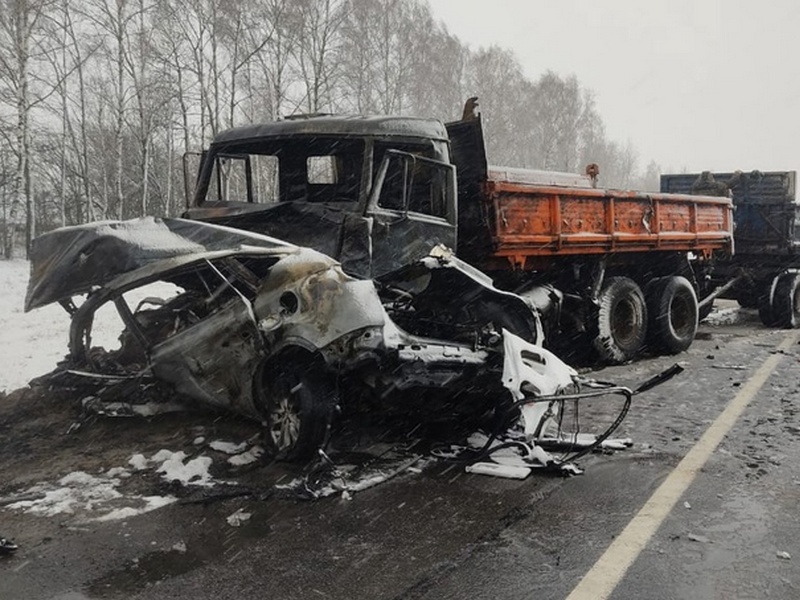 Водитель "Тойоты" разбился в ДТП в Почепском районе