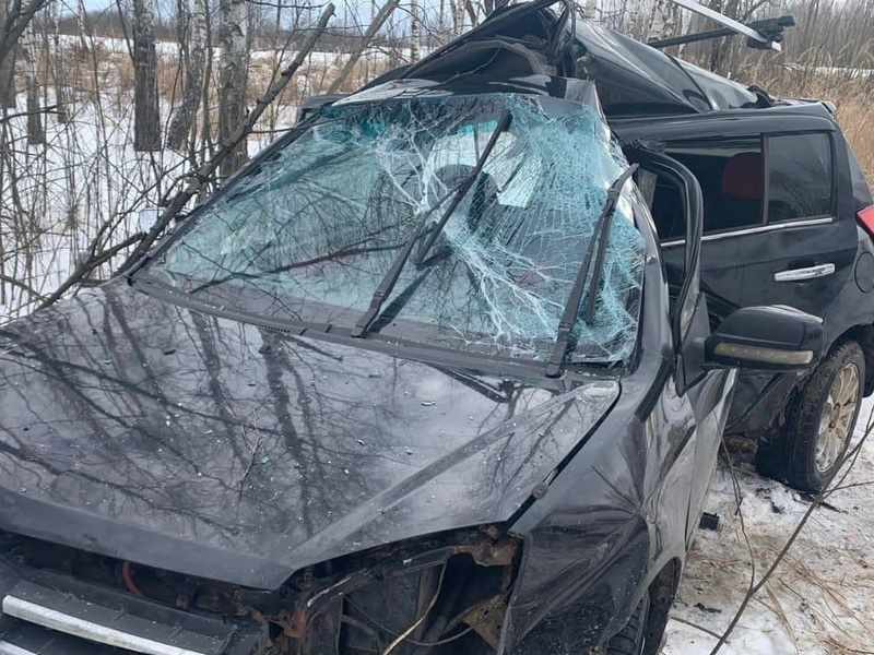 ДТП в Брянской области: машина врезалась в дерево