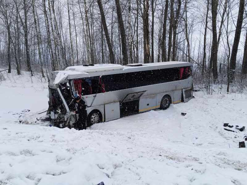 В Брянской области столкнулись пассажирский автобус и фура