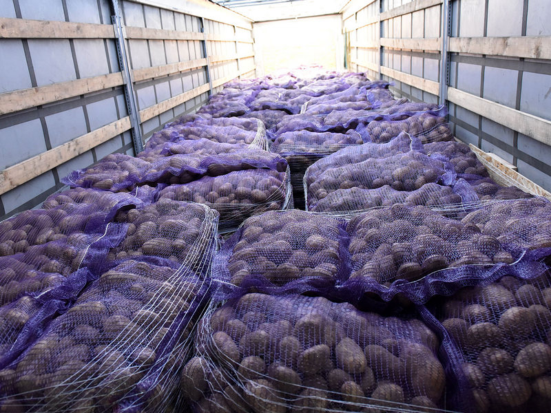 В ЛНР отправили 3000 тонн брянской картошки