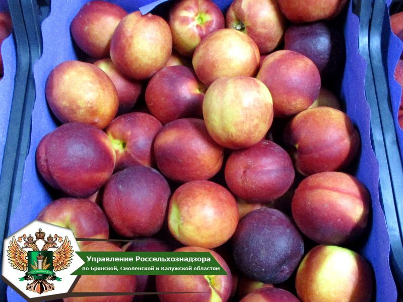 В Брянскую область не пустили 60 тонн фруктов