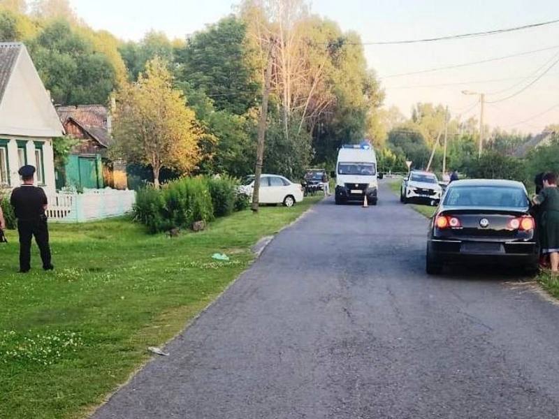 Ребенок погиб под колесами машины в Брянской области