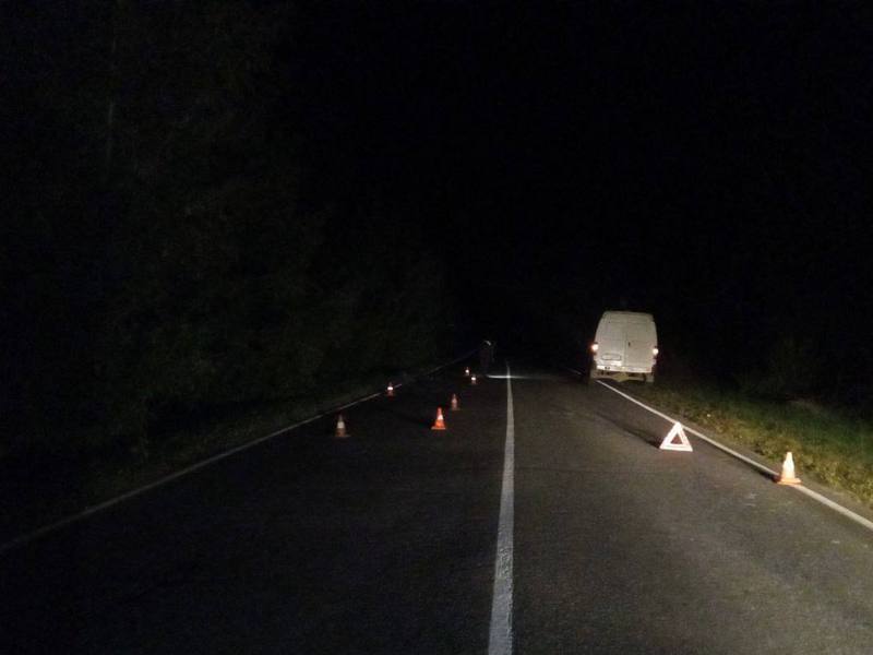 Мужчина погиб в ночном ДТП в Брянской области