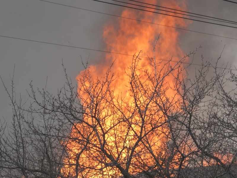 В Брянской области с начала года в пожарах погибли 30 человек