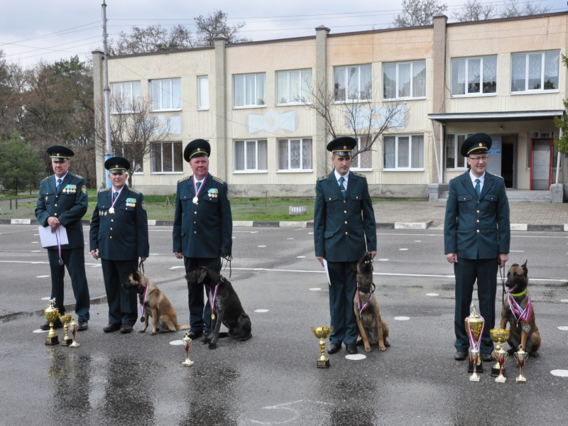 Брянские кинологи отправятся в Майкоп