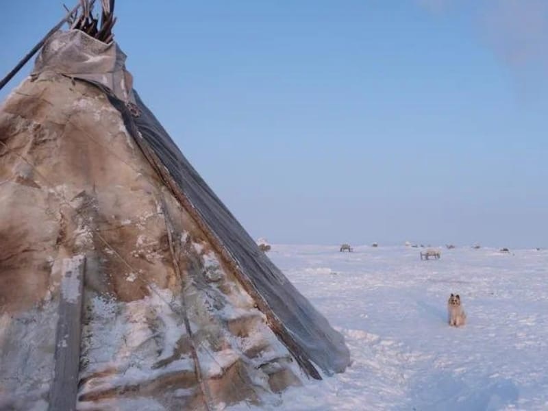 В Брянск приедут «Голоса Арктики»