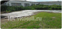 Лужи навозной жижи рядом с корпусами фермы КРС в с. Бутырки