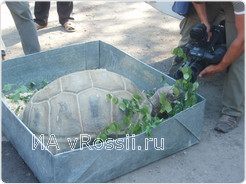 Новая жительница Тулы прессу любит