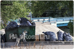 Горожане ликвидировали 34 свалки