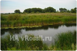 Из-за  халатности сахарного завода  пострадала флора и фауна реки Елань