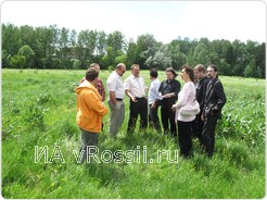 На Рок Холмах пока трава по пояс