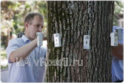 <em>Датчики не повреждают дерево</em>