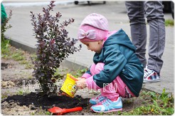 <em>Для детей игра, для города - чистый воздух</em>