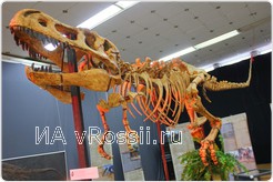 <em>Скелет тарбозавра, 74 млн. лет</em>