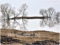 Светлана Панина 
