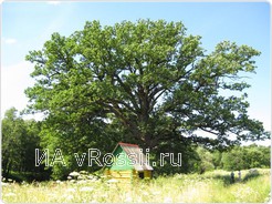 Фото Романов В.Н.