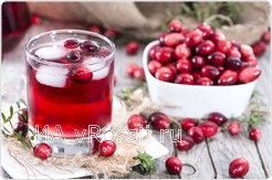 Клюквенный морс — один из древнейших национальных напитков (60 руб.)